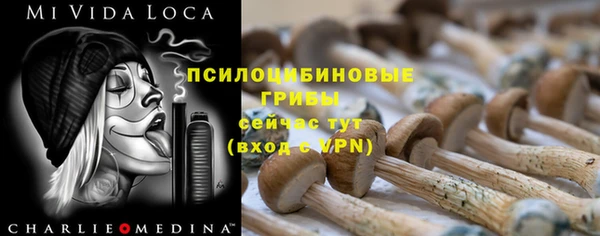 PSILOCYBIN Карпинск