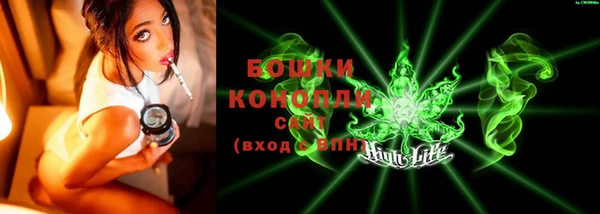 PSILOCYBIN Карпинск
