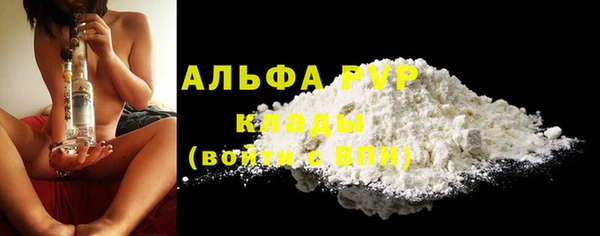 PSILOCYBIN Карпинск