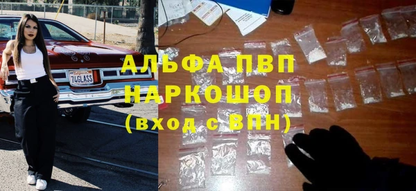 индика Карталы
