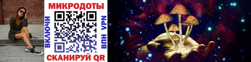 купить наркоту  Кизилюрт  Псилоцибиновые грибы Psilocybe 